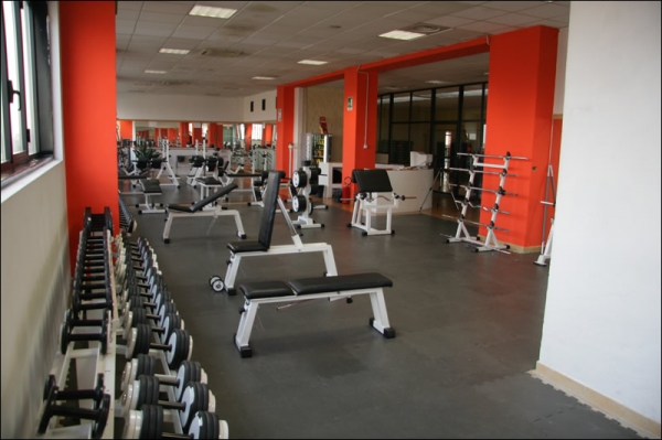 BFC, Fitness e Benessere a Moncalieri (TO)